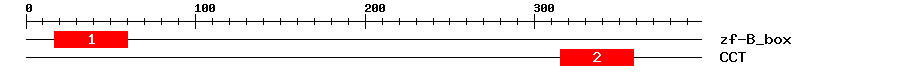 Signature Domain