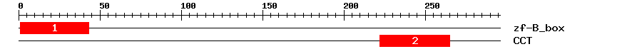 Signature Domain