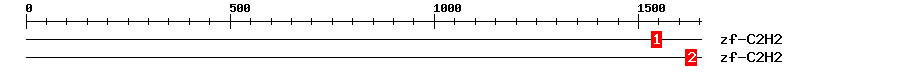 Signature Domain