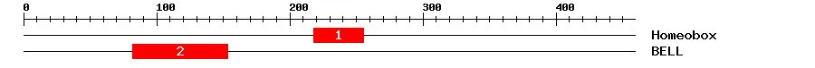 Signature Domain