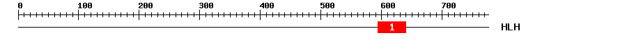 Signature Domain