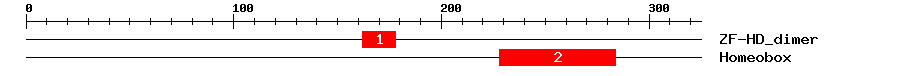 Signature Domain