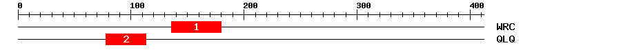Signature Domain