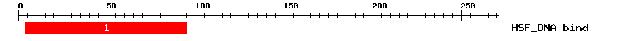 Signature Domain