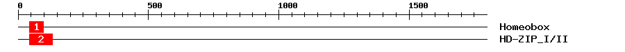 Signature Domain