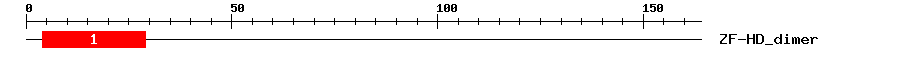 Signature Domain