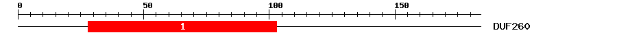 Signature Domain