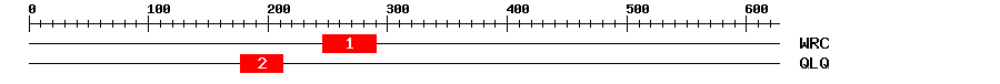 Signature Domain