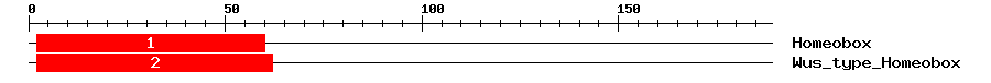 Signature Domain