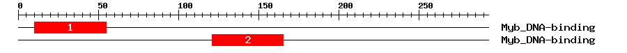Signature Domain