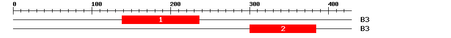 Signature Domain