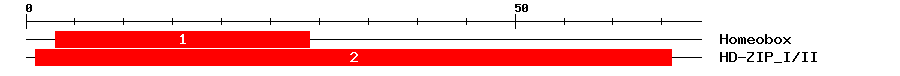 Signature Domain