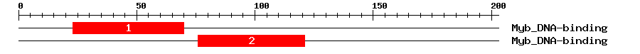 Signature Domain