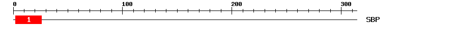 Signature Domain