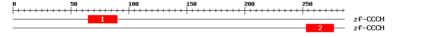 Signature Domain
