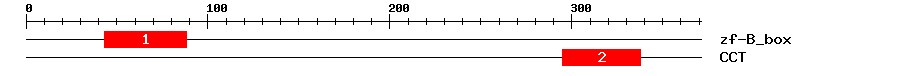 Signature Domain