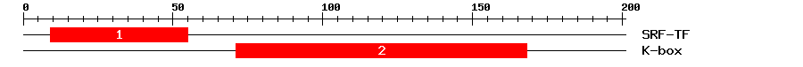 Signature Domain
