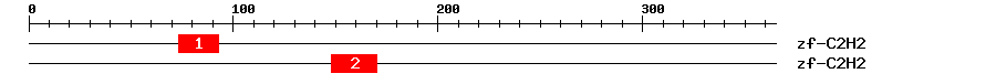Signature Domain
