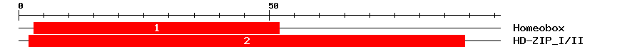Signature Domain