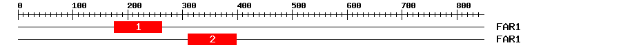 Signature Domain