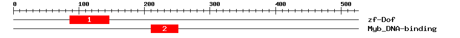 Signature Domain