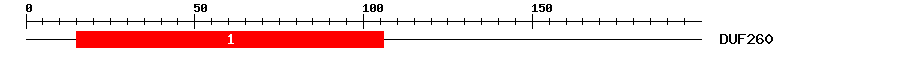 Signature Domain