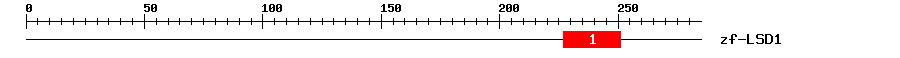 Signature Domain