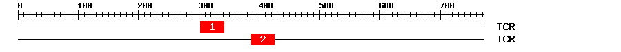 Signature Domain