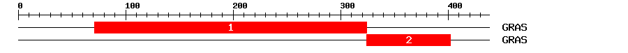 Signature Domain