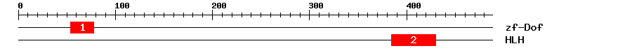 Signature Domain