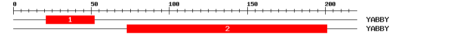 Signature Domain