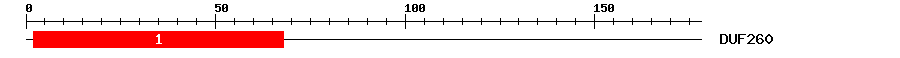 Signature Domain
