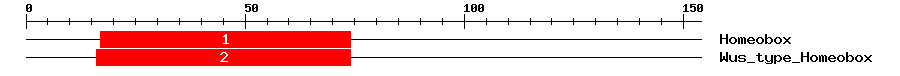 Signature Domain