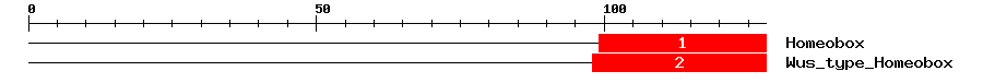 Signature Domain