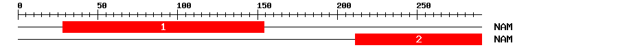 Signature Domain