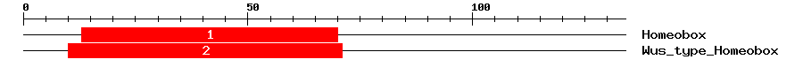 Signature Domain