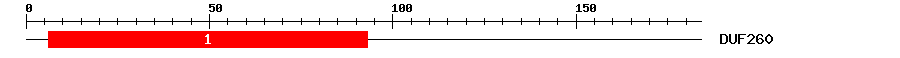 Signature Domain