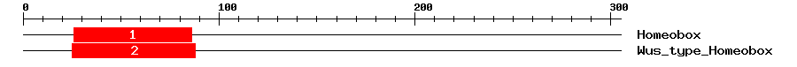 Signature Domain