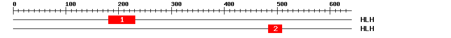 Signature Domain