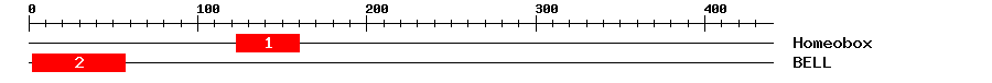 Signature Domain