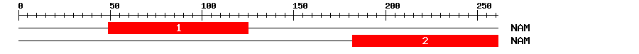 Signature Domain