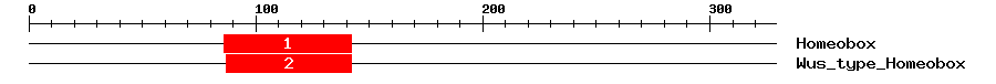 Signature Domain