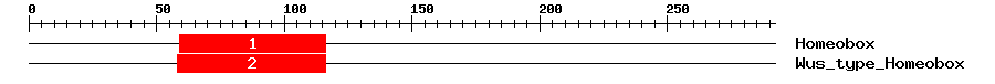 Signature Domain