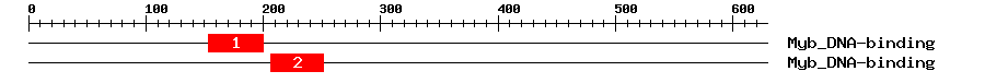 Signature Domain