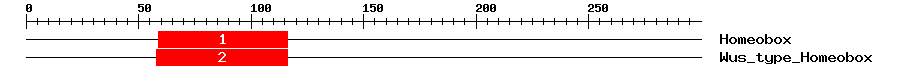 Signature Domain