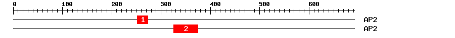 Signature Domain