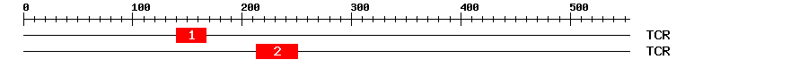 Signature Domain