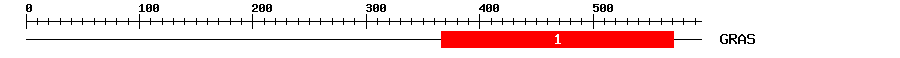 Signature Domain