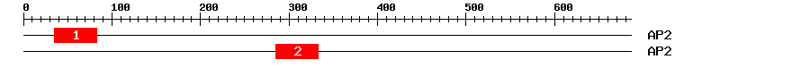 Signature Domain
