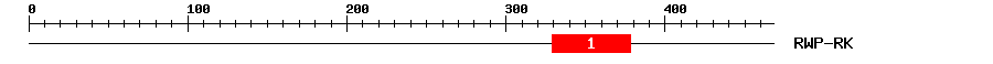 Signature Domain